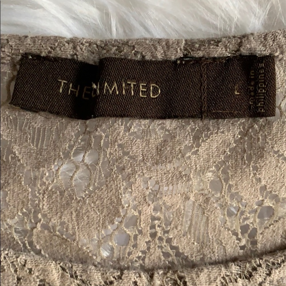 The Limited Neutral Lace Top - Picture 2 of 4